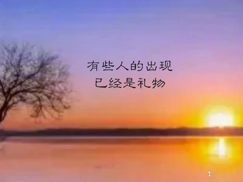 K联赛误判争议不断！韩足协裁委会主席：向球迷和国民深感抱歉