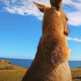 流言板签下合同之后做了什么普雷斯顿把iphone7换成12了