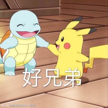 求一些杰尼龟表情包啊,兄弟们,憨批求助.