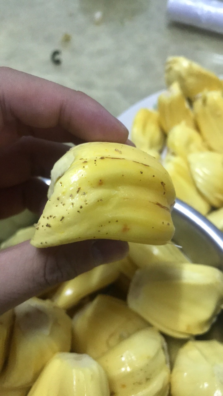 整个菠萝蜜剥开后果实有好多黑色的点