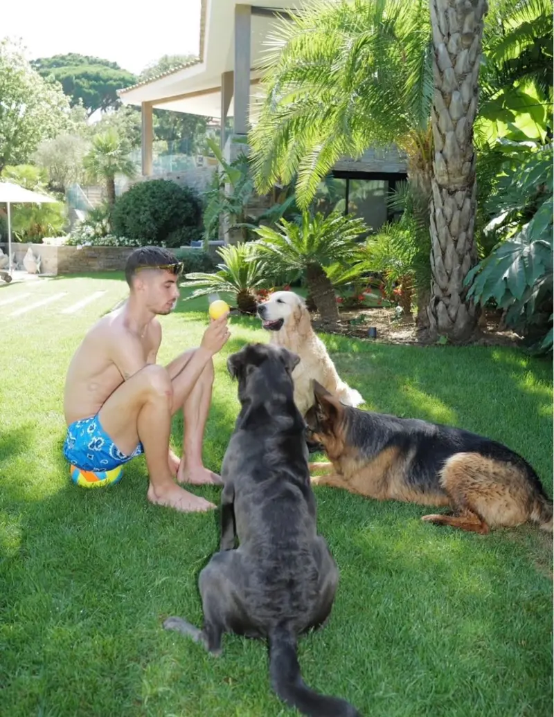 《四喜》：沈明珠的惨肉眼可见
�，许知夏的痛无人能懂！