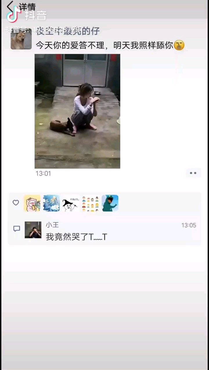 史上最惨舔狗,它有什么错? - 步行街主干道 - 虎扑
