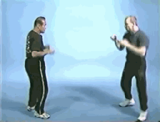 ufc中量级冠军用李小龙的技巧ko对手