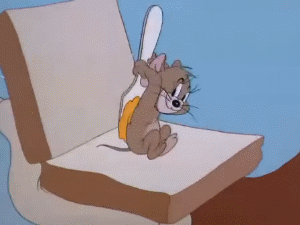 300_225