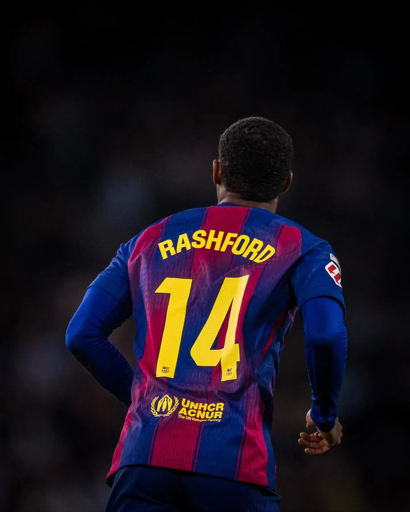 >青色大脑安卓模拟器2025最新安卓版