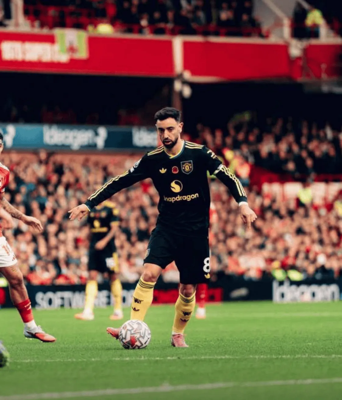 福建导航app导入入口网站登录app