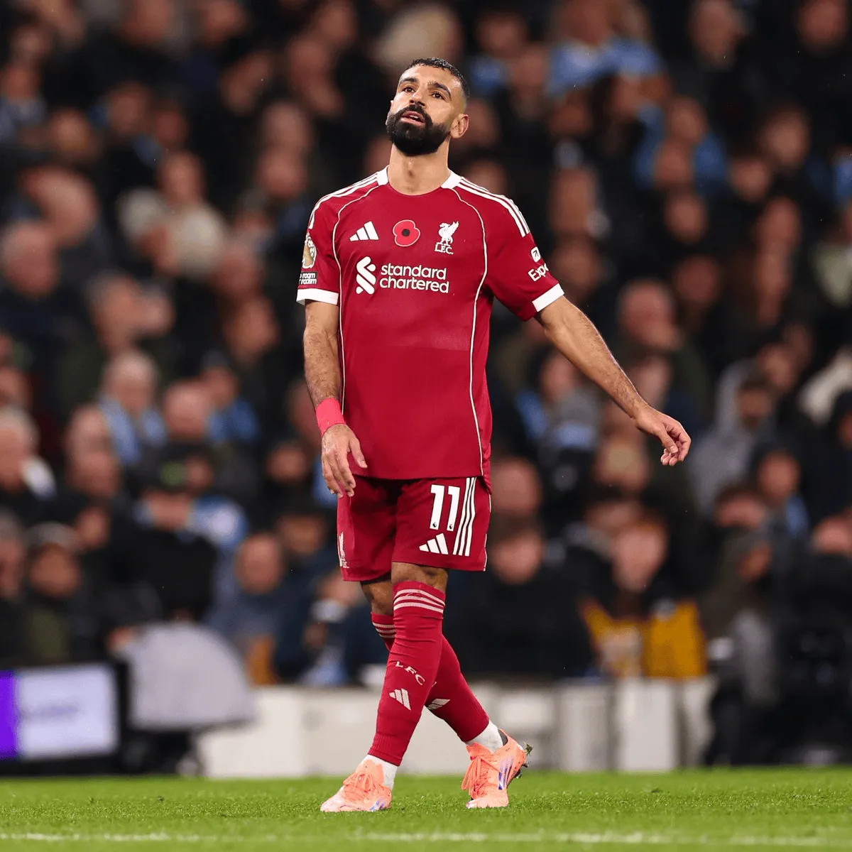 玥儿新动向！张兰小玥儿成都公园亲密散步，玥儿行为举止略显拘束