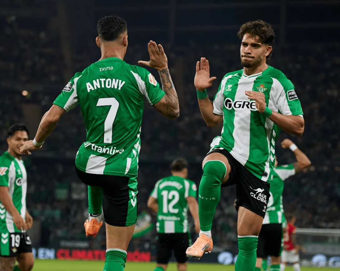 成人推特app下载18➕最新官方