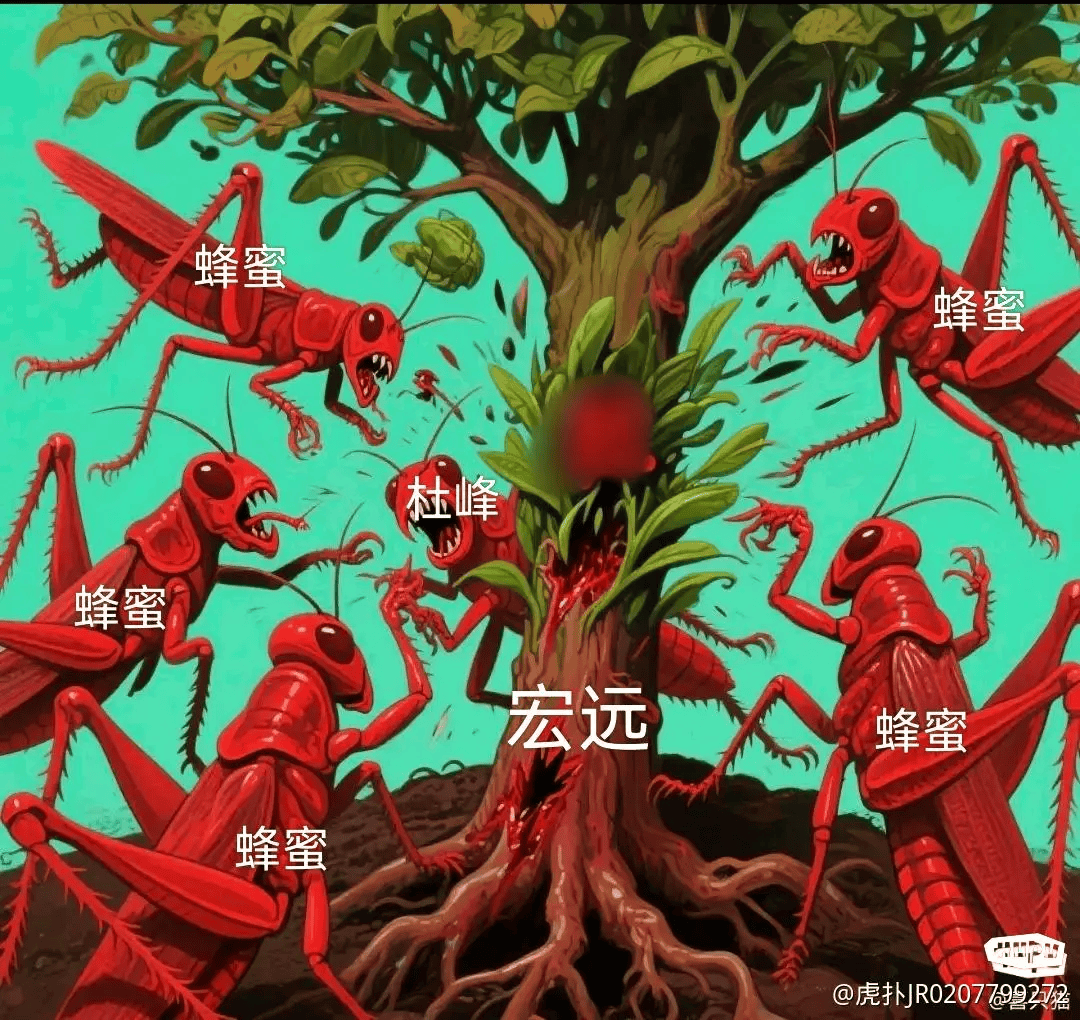 懂的都懂-CBA-广东华南虎-虎扑社区