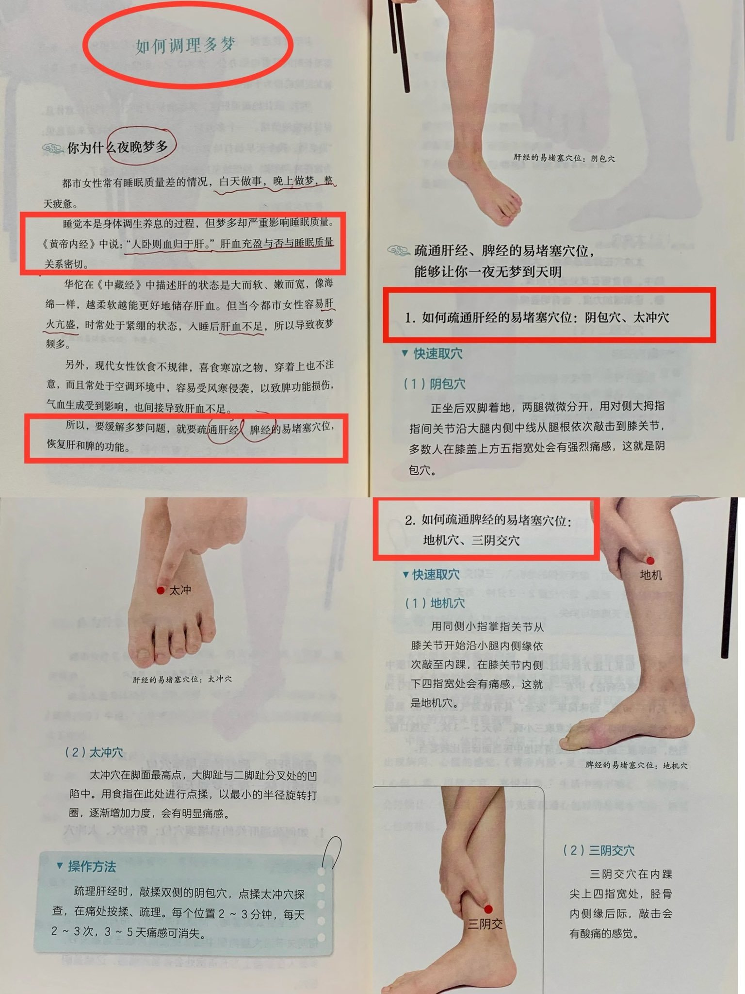 从中医的角度谈:夜晚多梦,要疏通肝经+脾经-步行街主干道-虎扑社区