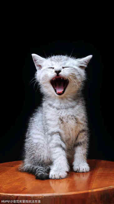 [流言板]stein:克莱确定将以5年1.9亿顶薪续约勇士