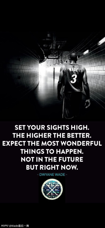 跪求韦德的高清壁纸