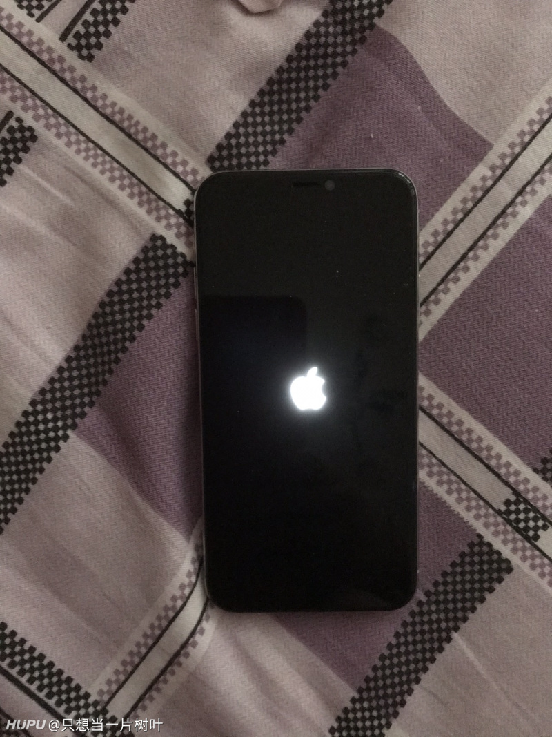 求大神进 Iphone X掉水里了 开不了机了 虎扑