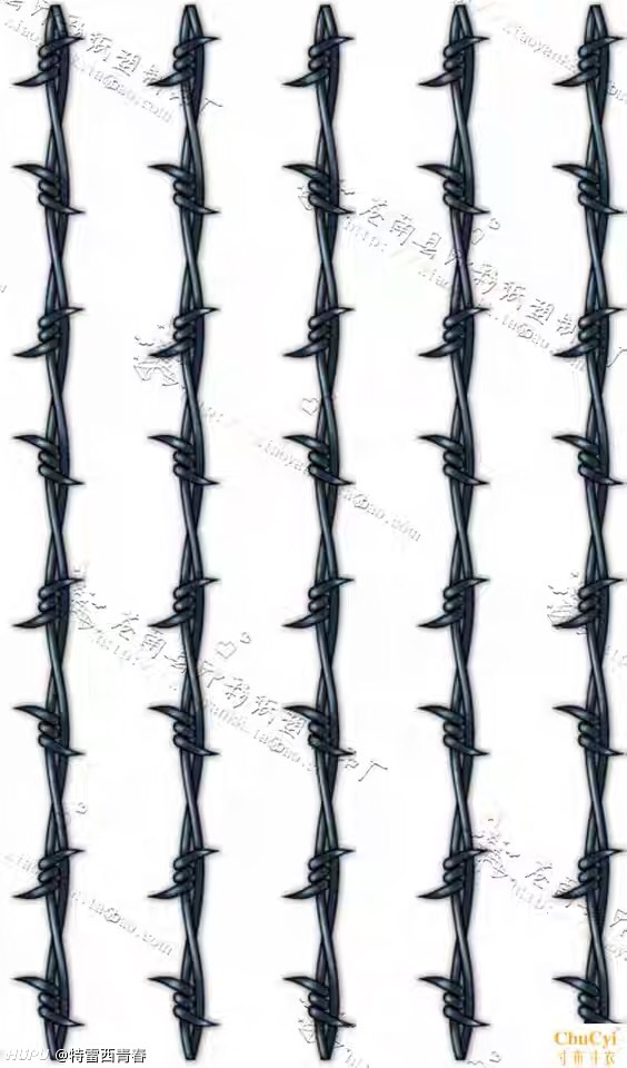 关于麦迪的左手荆棘臂环纹身