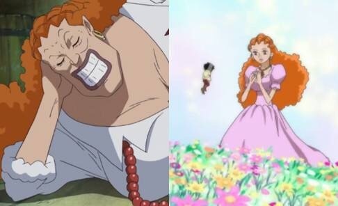 突发奇想 鹤和达旦谁漂亮 还有鹤为什么没有成为路飞的奶奶 卡普夫人会是 虎扑