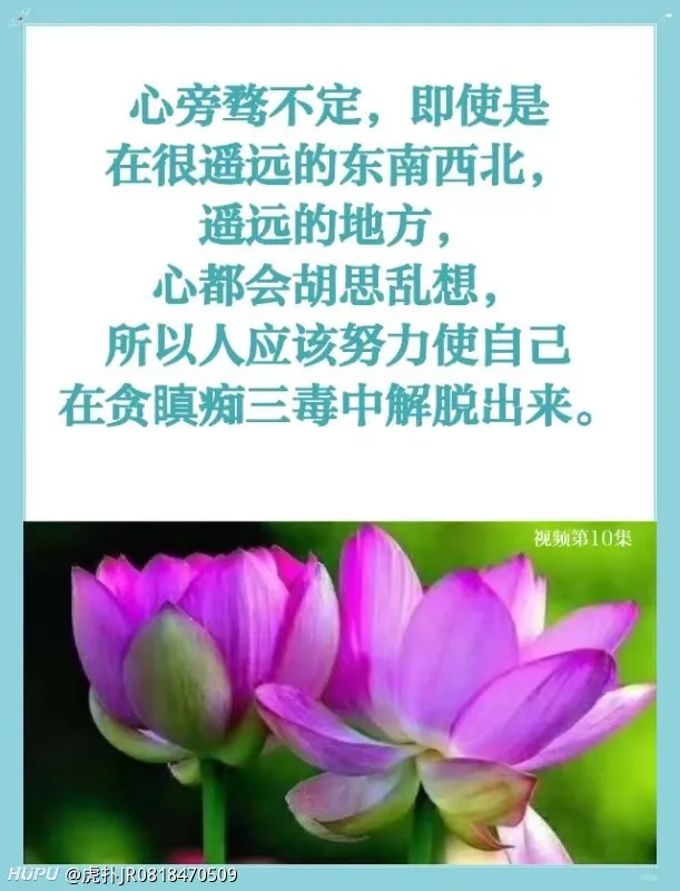 不贪不嗔不愚痴 步行街主干道 虎扑社区 不贪不嗔不愚痴 步行街主干道 虎扑社区