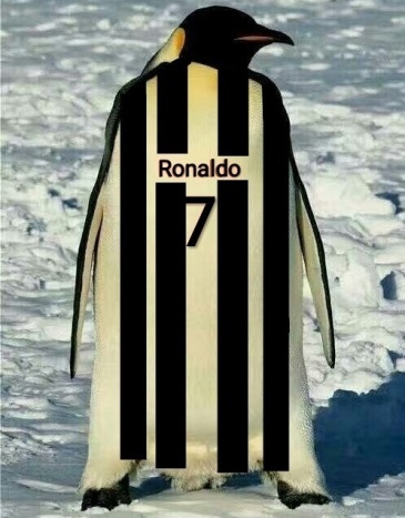 【cr7-juventus】门德斯积极信号,一步之遥?(集中讨论另开合并/转水)