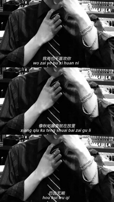 求这种三段带鸡汤文的壁纸