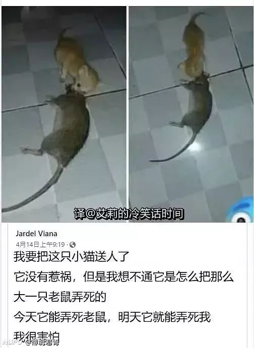 求求各位带哥帮忙推荐一下 想换把刀玩玩 虎扑