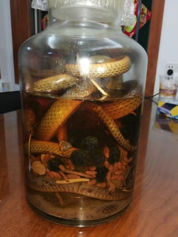 看新闻,拿活蛇泡酒泡了三个月,酒都喝完了,想加点酒结果蛇活了直接把