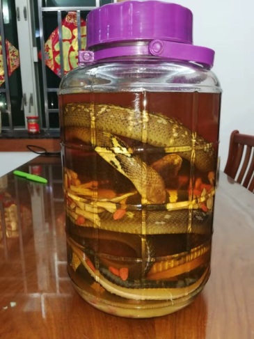 看新闻,拿活蛇泡酒泡了三个月,酒都喝完了,想加点酒结果蛇活了直接把