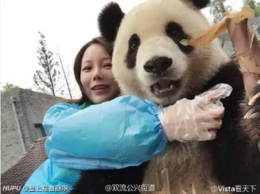 太可爱了,快过来给老子抱抱