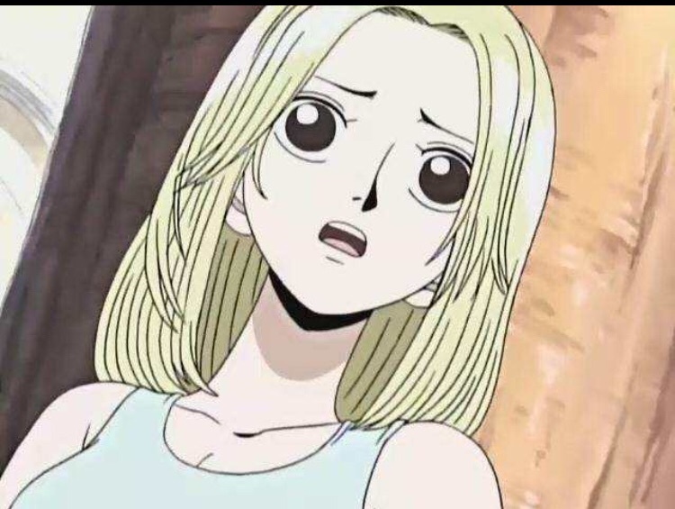 可雅是海贼王里最棒的女生,谁赞成?谁反对?