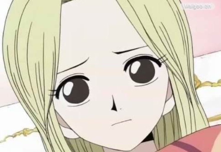 可雅是海贼王里最棒的女生,谁赞成?谁反对?