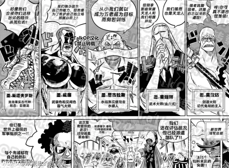 五老星实力 五老星实力