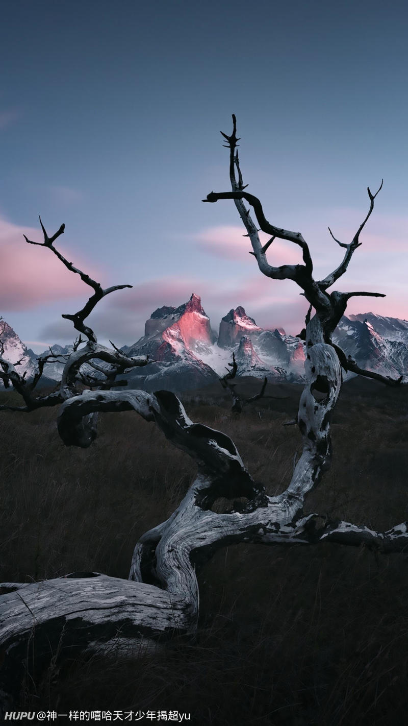 说唱diss大战,肖恩恩VS辉子VS黄昭,这三个人