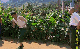 我看你是看不起我赵四