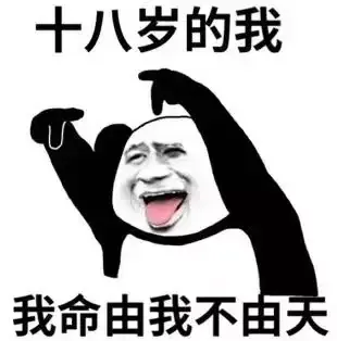 Wallpaper Engine创意工坊中有哪些值得推荐的壁纸 步行街主干道 虎扑社区