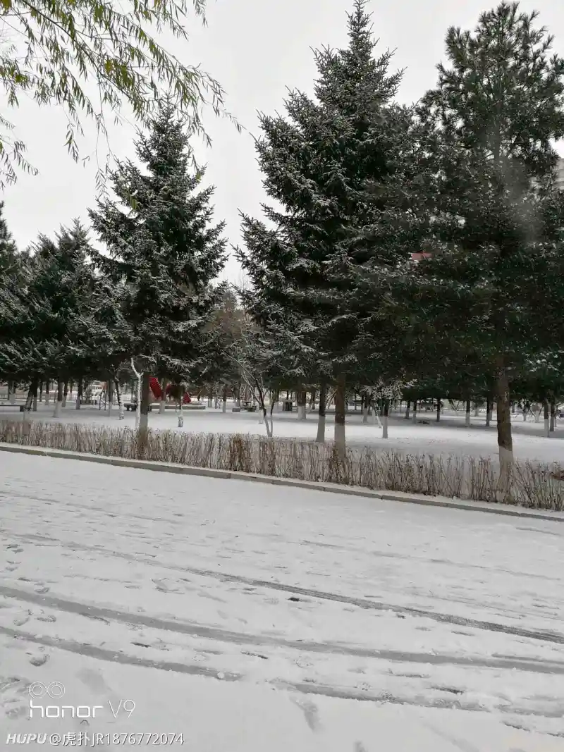 春赏百花冬观雪醒亦念卿梦亦念卿 步行街主干道 虎扑社区