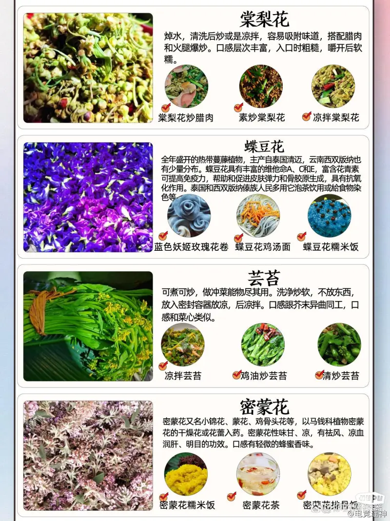 云南食花指南。