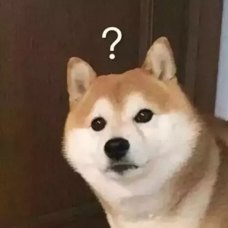 狗见了警犬 会把它当警察吗 步行街主干道 虎扑社区