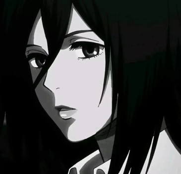 引用 @其斤蒂芬厍里 发表的   求你的三笠头像昂