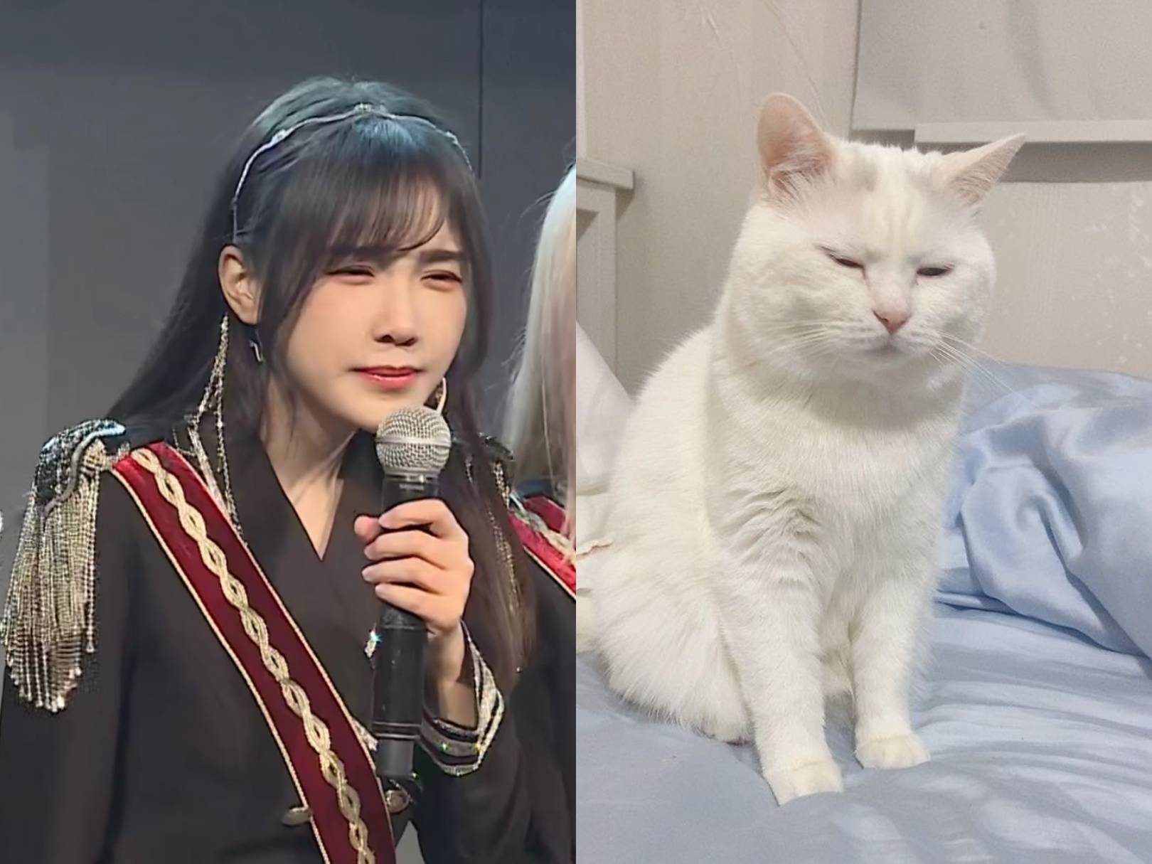 SNH48】TEAM HII《终极任务》-娱乐圈-虎扑社区