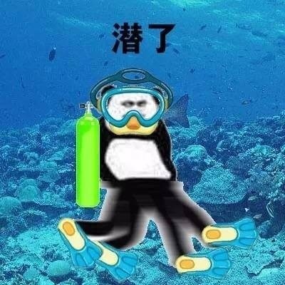 游戏大猜想:把生活中的什么道具放到荒野里会更好玩?