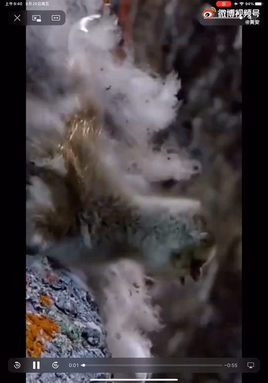 video-poster