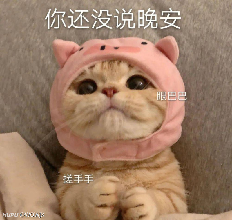 22考研网课资料求问 虎扑