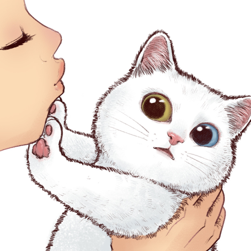 想买个斐讯遗产,k2p 官改固件还是华硕固件