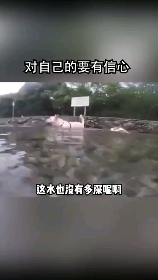 video-poster