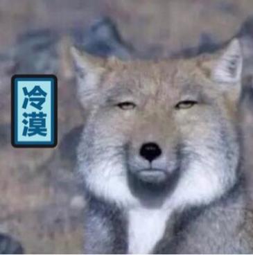 贝胖利物浦时代的托雷斯+杰拉德是不是放在