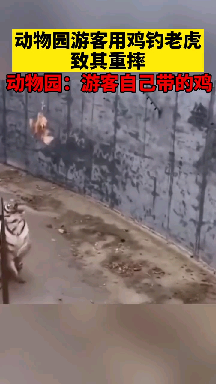video-poster