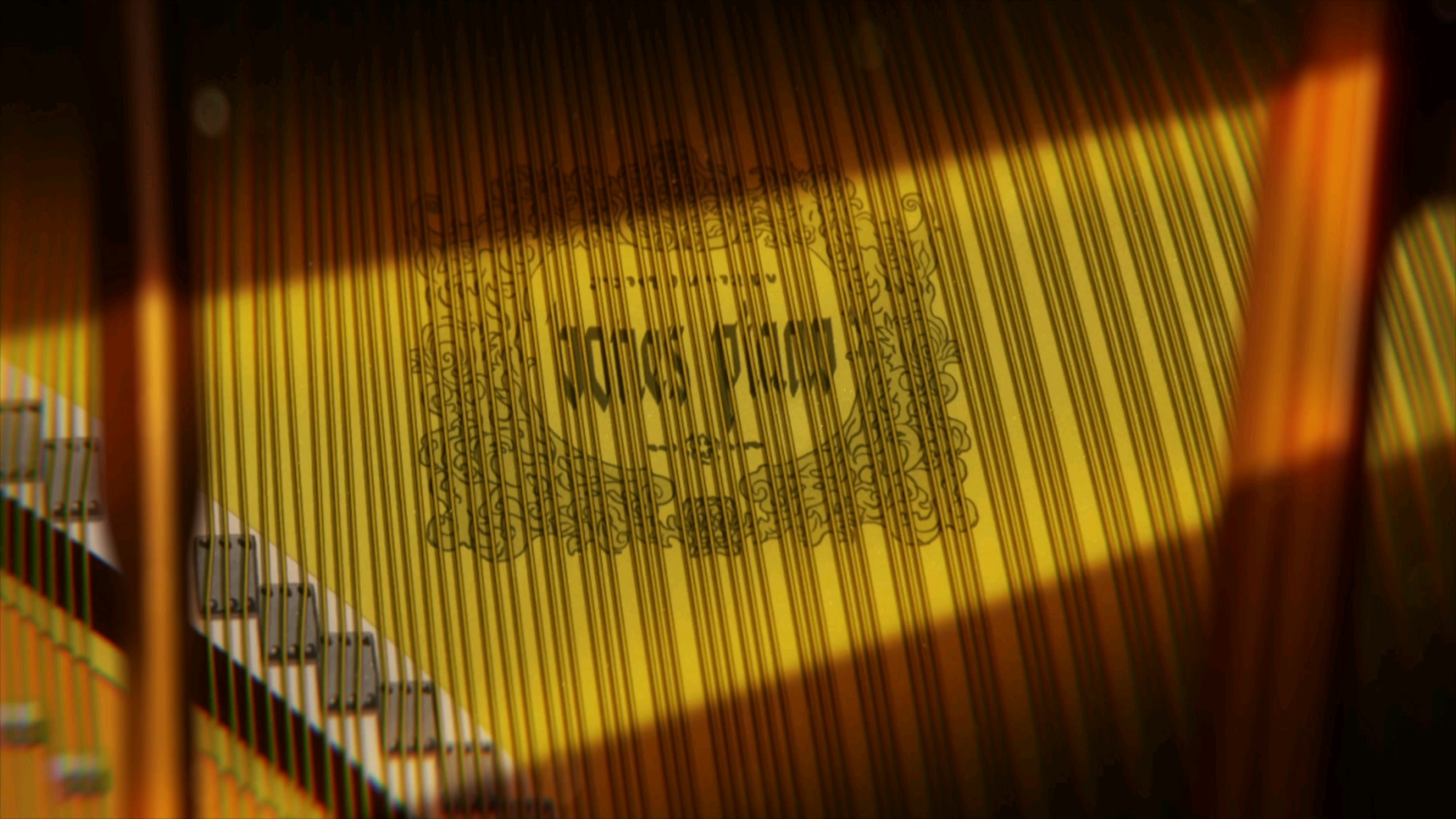 video-poster
