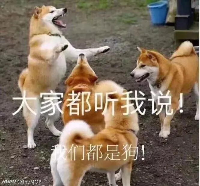 虎扑社区
