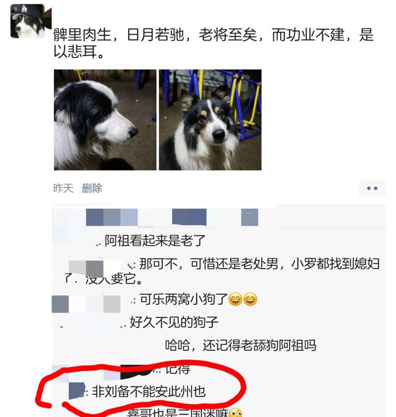 今天发了条朋友圈 领导这么回复什么意思 虎扑