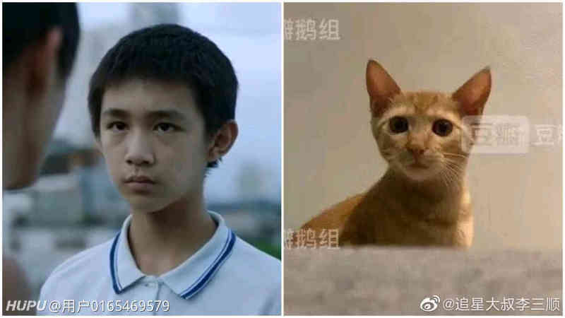 震惊 猫朝阳已经出现 虎扑 震惊 猫朝阳已经出现 虎扑
