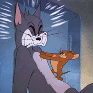 300_300gif 动态图 动图