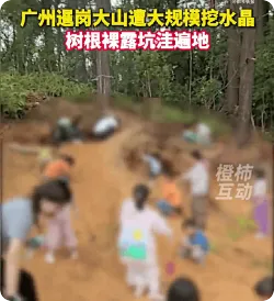 广州一大山遭大规模挖水晶坑洼遍地，官方回应